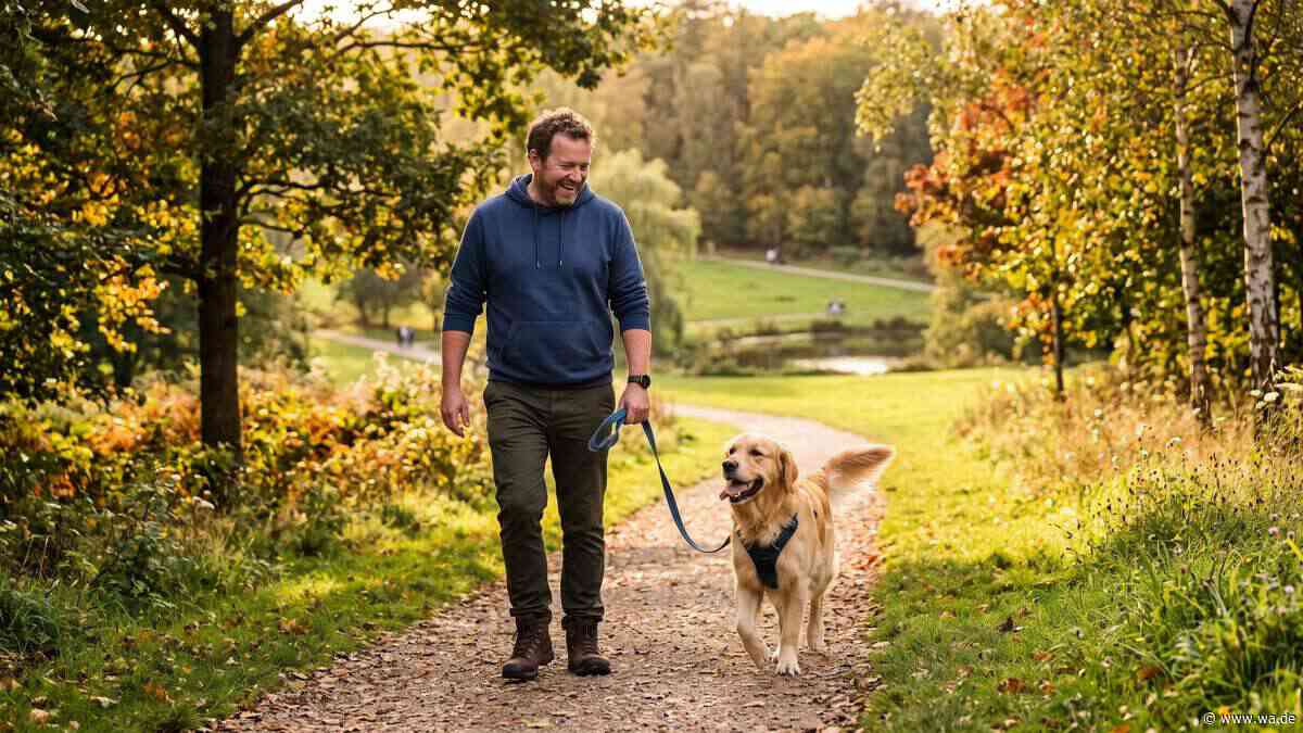 Drei Runden am Tag – reicht das? Was ein Hundeprofi wirklich empfiehlt