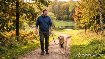 Drei Runden am Tag – reicht das? Was ein Hundeprofi wirklich empfiehlt