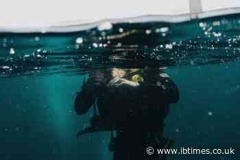 'I Want To Go Home': Devoted Tsunami Widower Completes 760 Dives To Find Missing Wife