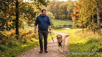 Drei Runden am Tag – reicht das? Was ein Hundeprofi wirklich empfiehlt