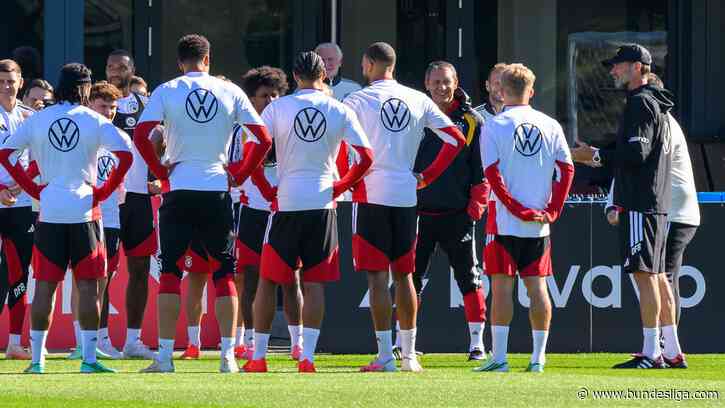 Germany to wear final Adidas shirt against the Netherlands
