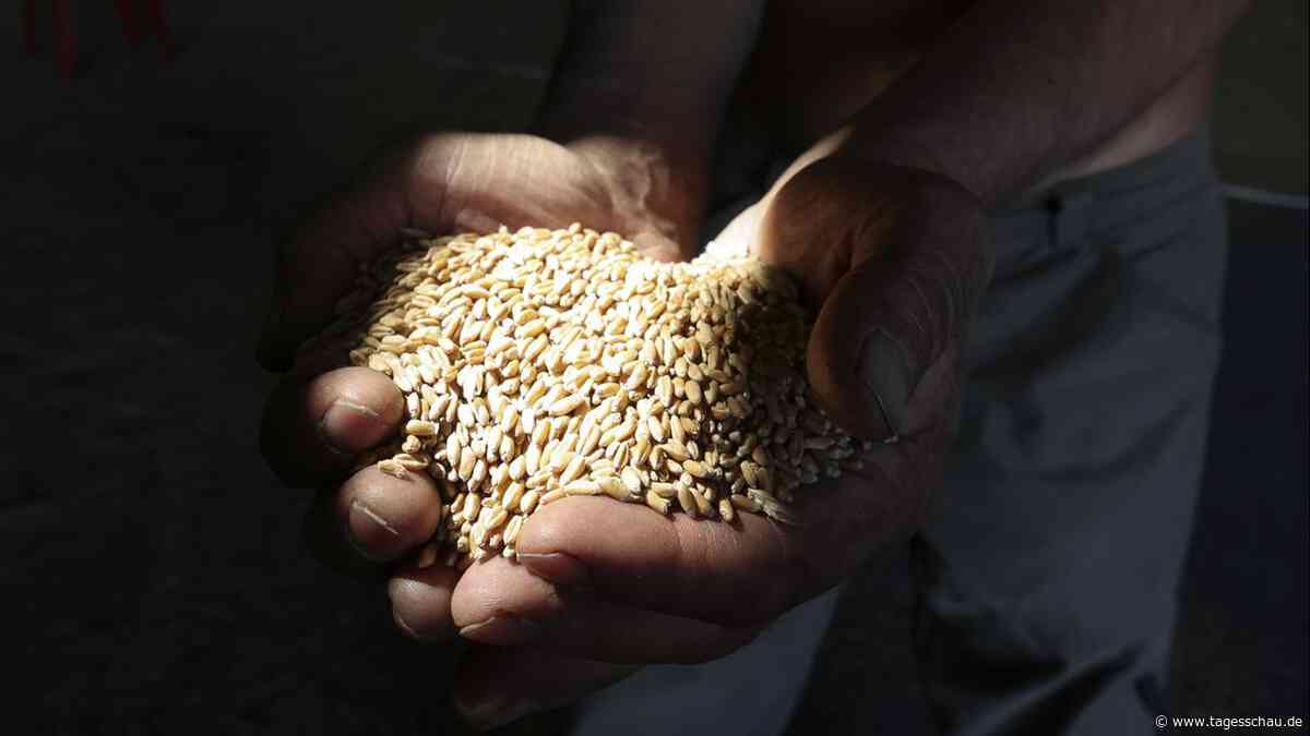 Frontstadt in der Ukraine: "Jetzt beginnt dort echter Hunger"