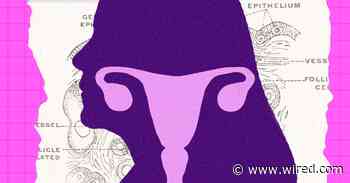 The Ovary Is Surprisingly Active After Menopause. Scientists Are Trying to Figure Out Why