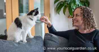 Cambridge named the UK's 'cheating cat' capital for feline wanderers
