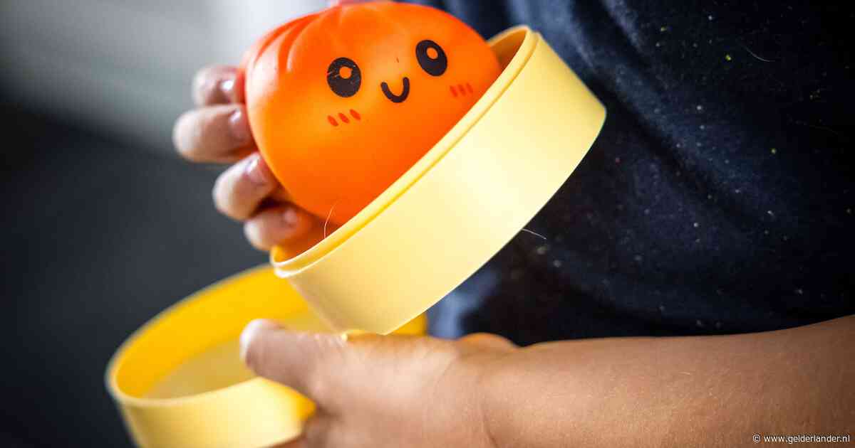 NVWA: squishy dumplings, die massaal uit de schappen werden gehaald, toch niet gevaarlijk voor kinderen