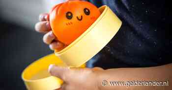 NVWA: squishy dumplings, die massaal uit de schappen werden gehaald, toch niet gevaarlijk voor kinderen