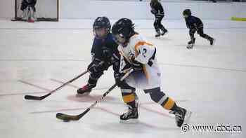Hockey Sask. surveying parents on half-ice style for U9s