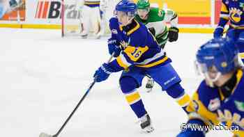 Blades looking to vets to lead team in front of new Czech goaltender