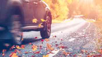 Auto fit für den Herbst machen: So starten Sie sicher in die kalte Jahreszeit