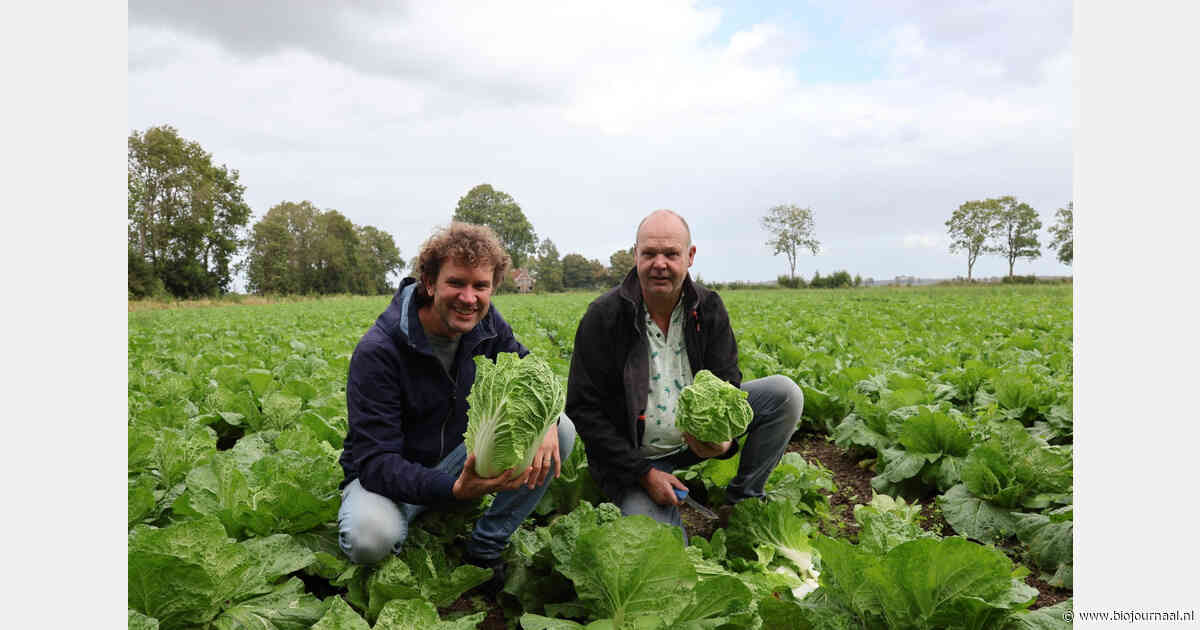 Enser Kooloogst Kampioenschappen tijdens Kool is Cool-dag bij BioRomeo