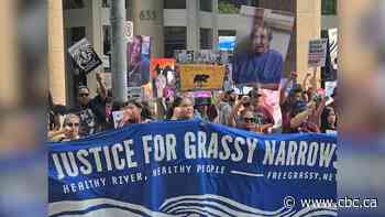 ‘We shouldn't have to beg,’ says chief of First Nation facing decades of mercury poisoning in Ontario