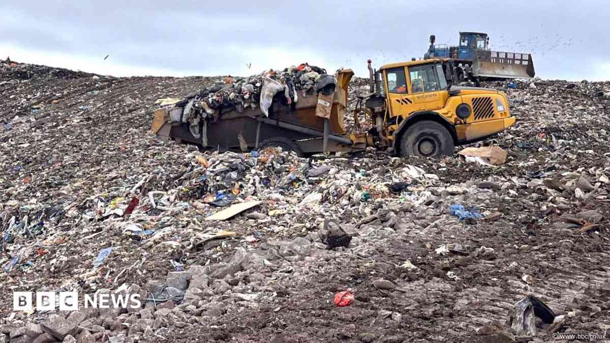 Waste sector crisis could see rubbish piling up on streets, experts warn