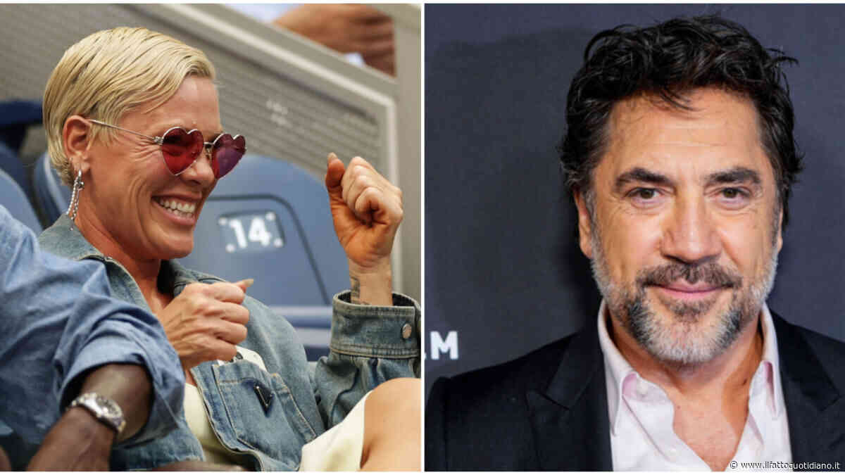 “Via dal ruolo di ambasciatrice Unicef”: Javier Bardem contro P!nk ed è scontro totale sulla Palestina