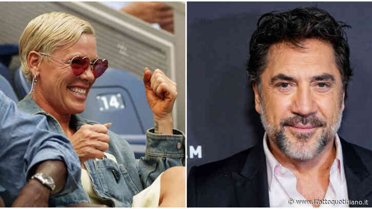“Via dal ruolo di ambasciatrice Unicef”: Javier Bardem contro P!nk ed è scontro totale sulla Palestina