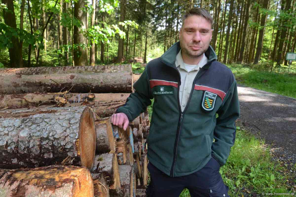 Theuma: Waldexkursion zu Verkehrssicherung im Kommunalwald