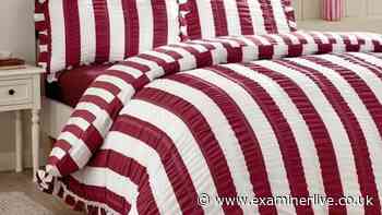 £24 Dunelm 'no iron' duvet cover now comes in chocolate brown and plum for autumn