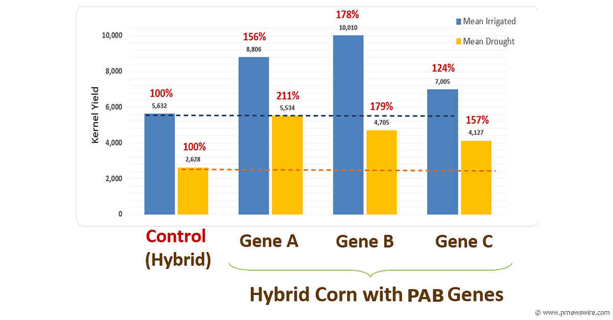 PlantArcBio's Yield Increasing and Drought-Tolerance Genes Deliver Stronger Yields in First Open-Field Corn Trial