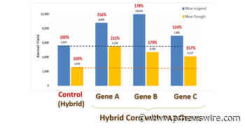 PlantArcBio's Yield Increasing and Drought-Tolerance Genes Deliver Stronger Yields in First Open-Field Corn Trial