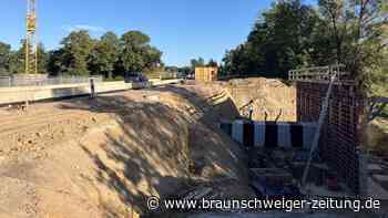 Alternative Grüne Route Wolfsburg: Hoffnung und Kritik für umstrittene Baustelle