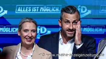 Umfrage-Schock: AfD stärkste Partei – doch 83 Prozent ihrer Anhänger fordern ein völlig neues System