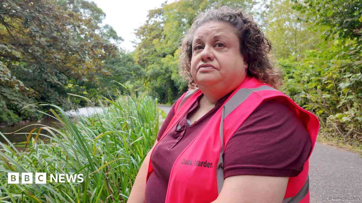 'Why I spend my free time keeping ducks safe'
