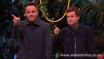 I'm A Celebrity rumoured star finally addresses entering the 2026 jungle