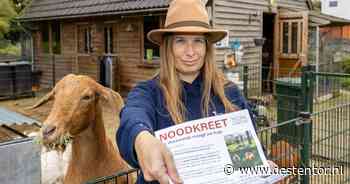 Vrijwilligers slaan alarm om deze dierenweide: ‘Kunnen misschien hooguit nog een jaar bestaan’