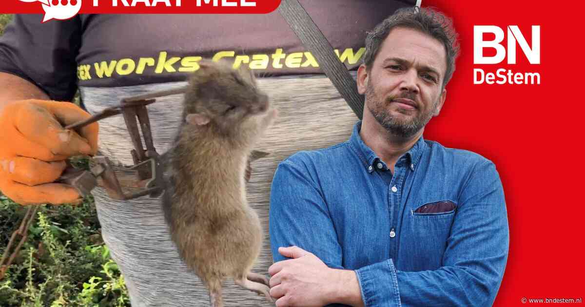 St. Willebrord in de rats door grote rattenplaag: wie heeft er nog meer overlast van ongedierte?