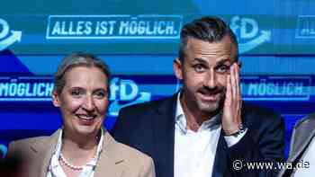 Umfrage-Schock: AfD stärkste Partei – doch 83 Prozent ihrer Anhänger fordern ein völlig neues System