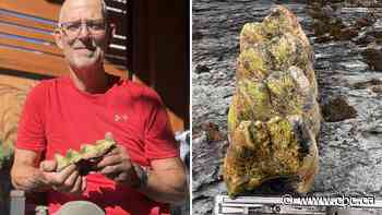 Kamloops man finds rare mastodon tooth on Interior B.C. lakeshore