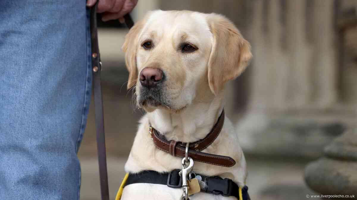 Wirral taxi driver's licence stripped after refusing to pick up guide dog