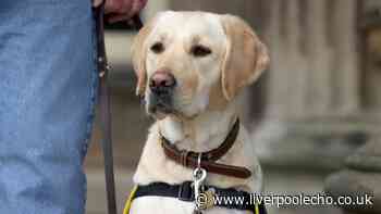 Wirral taxi driver's licence stripped after refusing to pick up guide dog