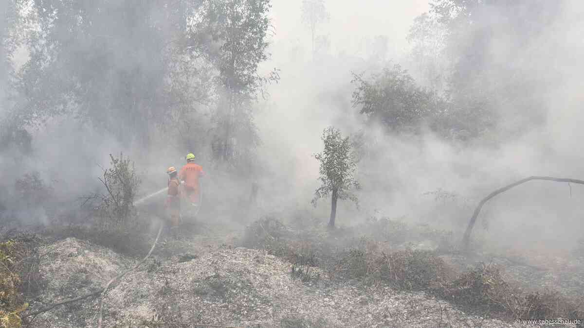 Hunderttausende Hektar Wald brennen in Indonesien