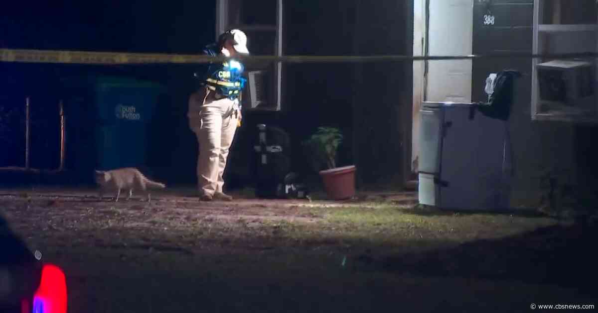 Georgia officer fires at charging dogs and wounds resident, police say
