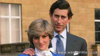 Princess Diana's friend details 'important' conversation over Charles before her death