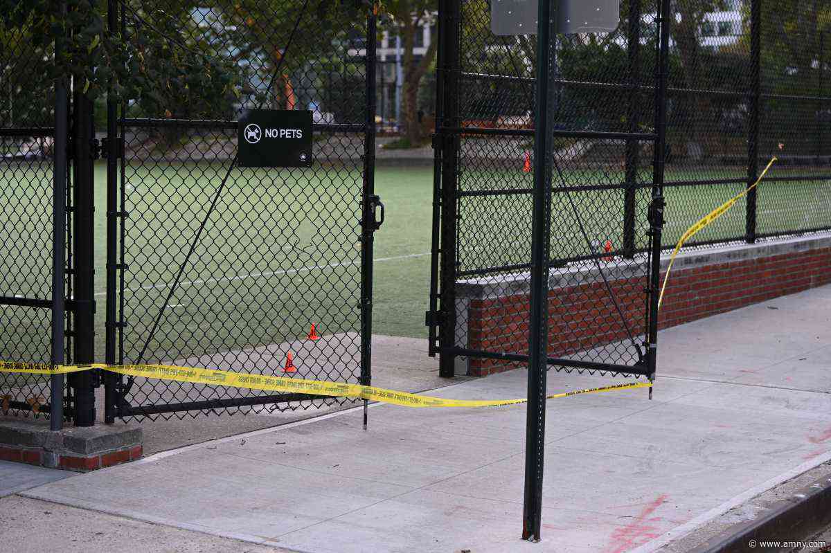 Man shot to death in Downtown Brooklyn Park identified, two suspects on the loose
