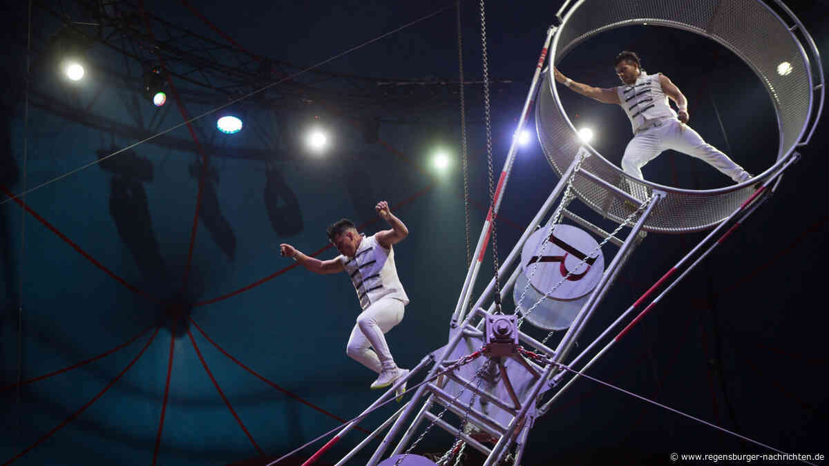 Logenpl?tze f?r Circus Barelli Jetzt Tickets gewinnen!