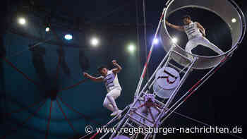 Logenpl?tze f?r Circus Barelli Jetzt Tickets gewinnen!