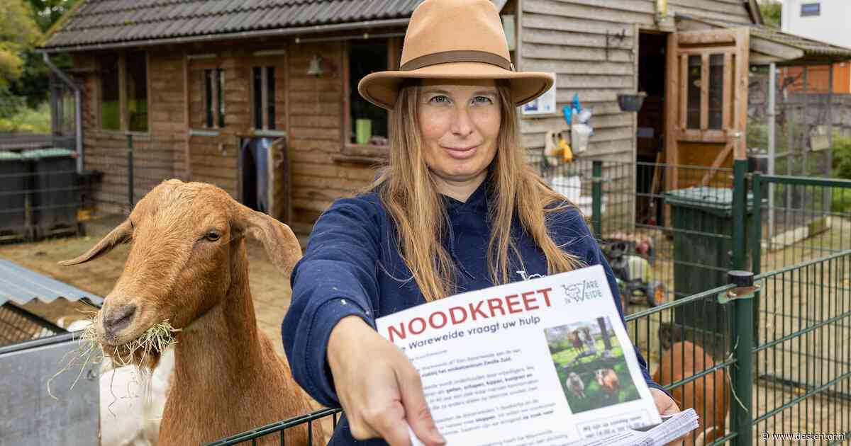 Strengere regels brengen dierenweide in de knel: ‘Kunnen misschien hooguit nog een jaar bestaan’