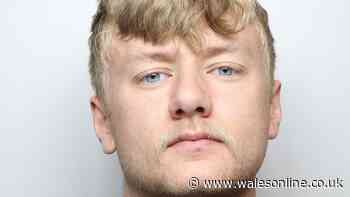 Man impersonating police officer sexually assaulted teenagers in Chepstow park