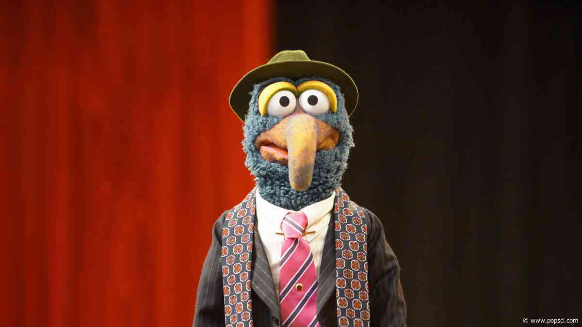 What kind of animal is Gonzo?