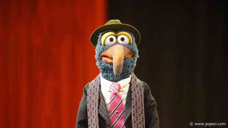 What kind of animal is Gonzo?