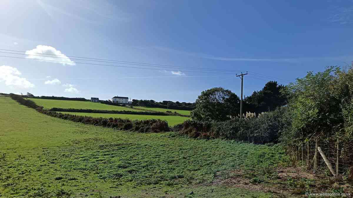 Overhead power line spanning 800m could be buried under Gower