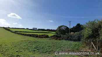 Overhead power line spanning 800m could be buried under Gower