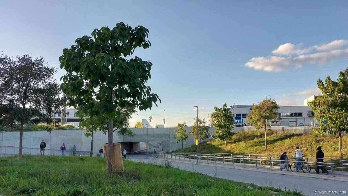 Grüne wollen Baum am Poinger S-Bahnhof – doch der Plan landet auf Eis