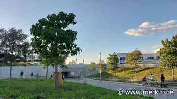 Grüne wollen Baum am Poinger S-Bahnhof – doch der Plan landet auf Eis