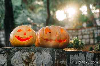 Trick-or-Treat? Halloween is one hour longer this year!