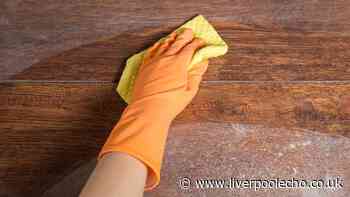 I get rid of dust in my home with unexpected £1 B&M item that smells so fresh