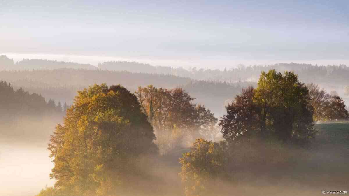 Harter Winter im Anmarsch? Bauernregel zeigt, was das September-Wetter jetzt prophezeit