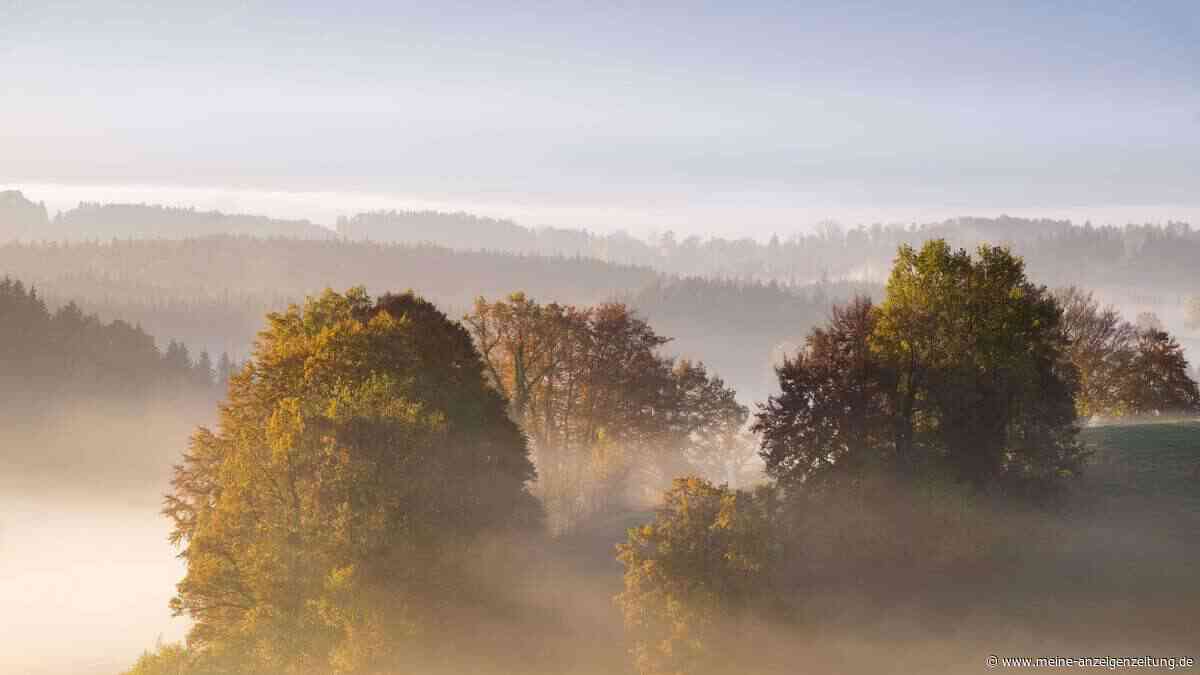 Harter Winter im Anmarsch? Bauernregel zeigt, was das September-Wetter jetzt prophezeit